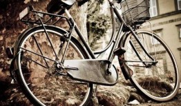 娱乐吃瓜酱自行车,自行车界的潮流新宠